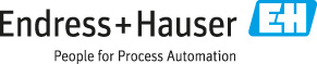 Endress+Hauser logo