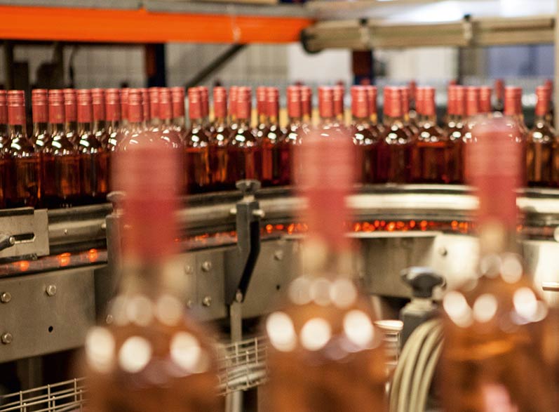 Wine bottles on conveyor belt